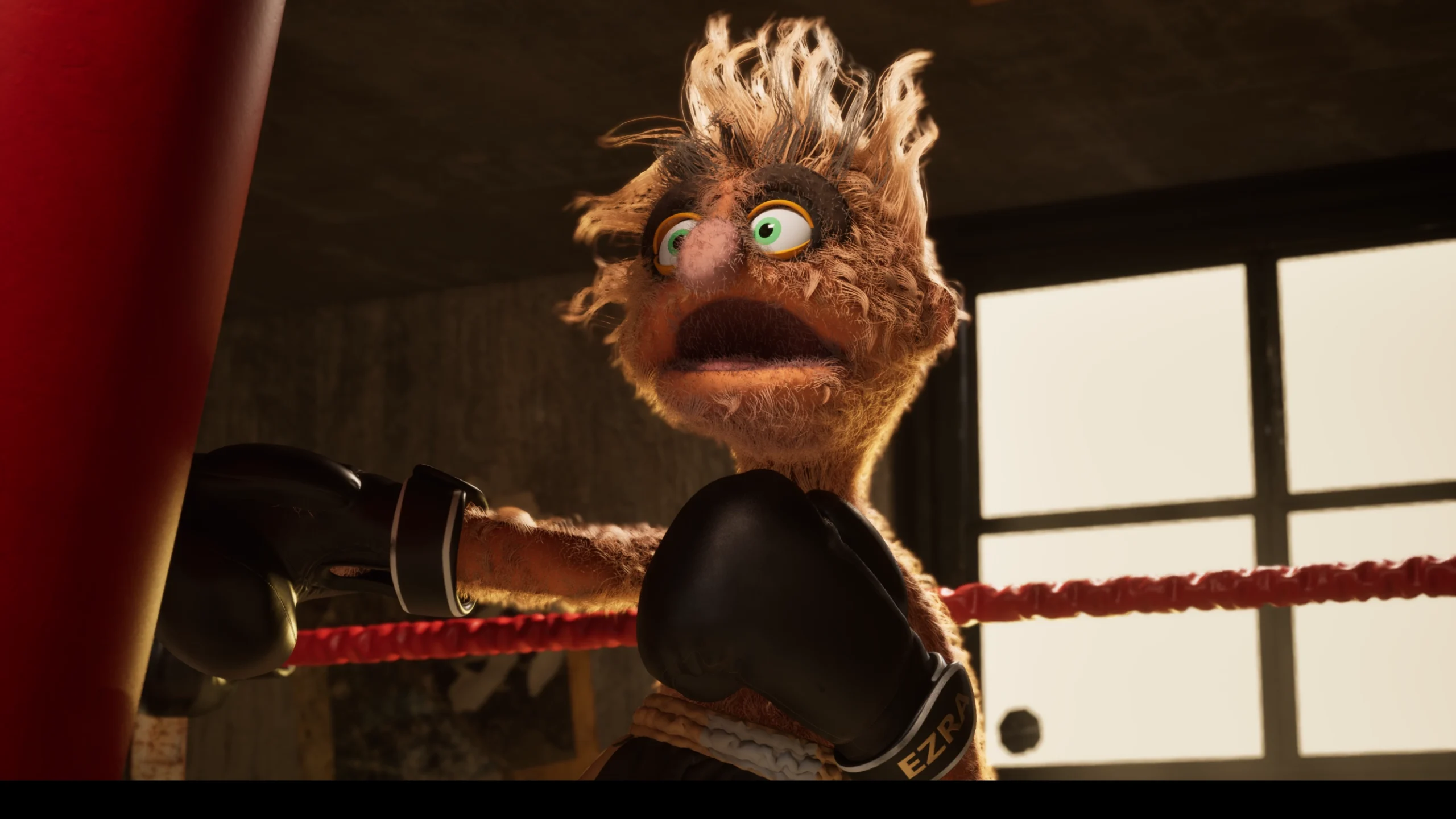 Felt that boxing fuzz e training
