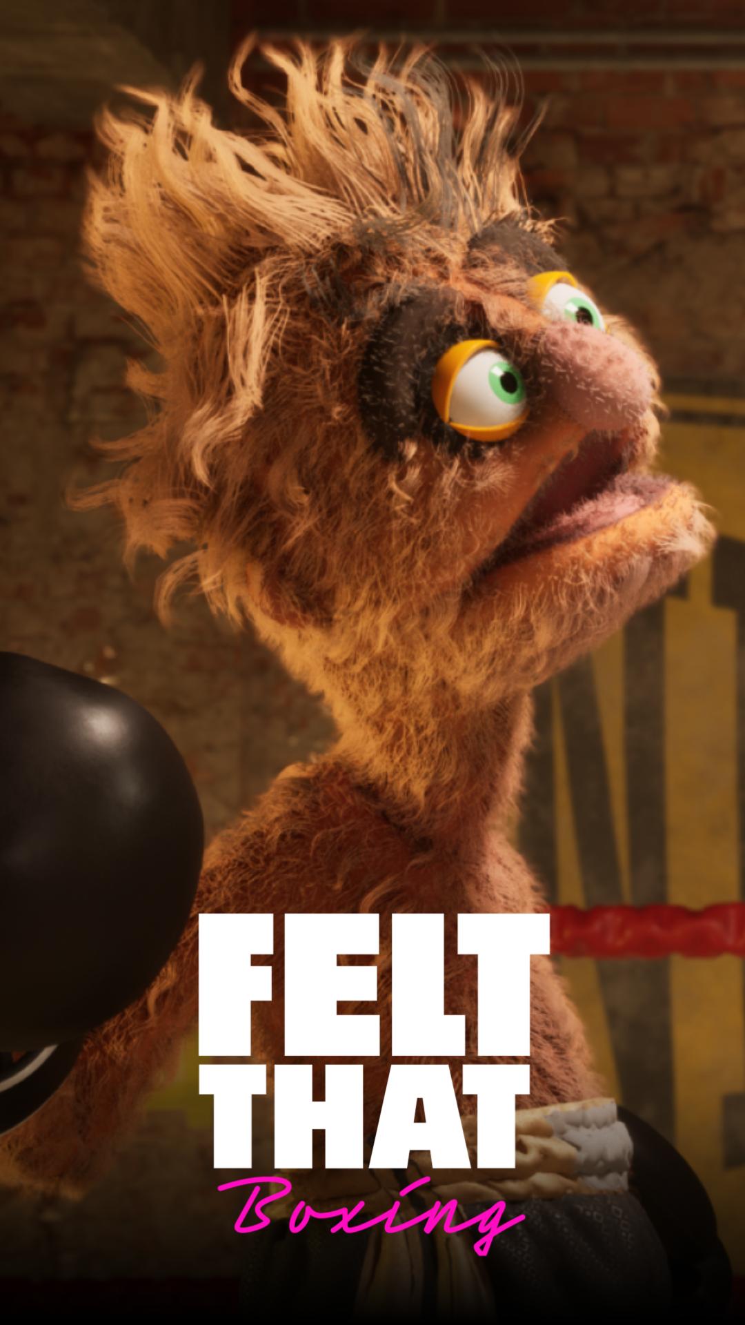 Felt That Boxing Project Thumbnail